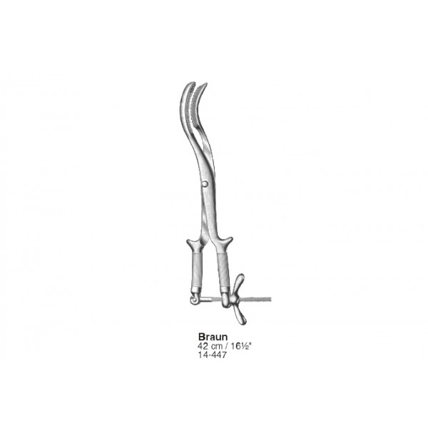 Gynecology, Obstetrics